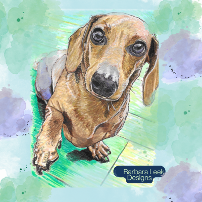 picture of dachshund with one paw up in the air with watercolor splatters